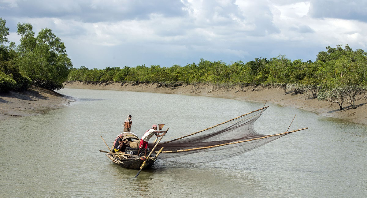 Sundarban